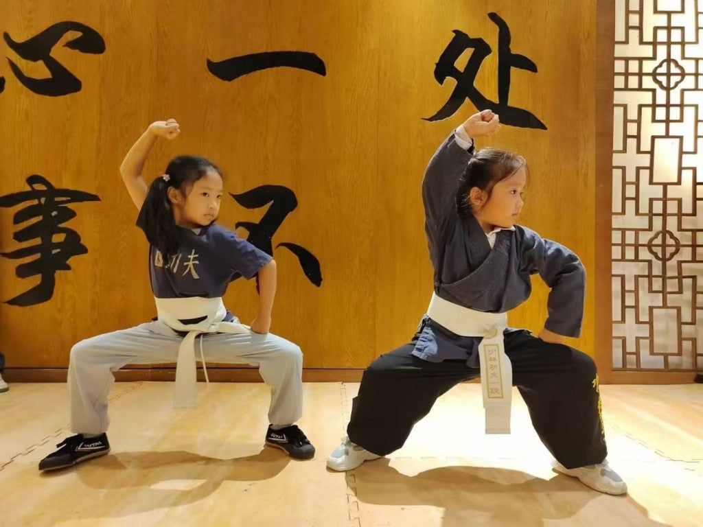 Shaolin Youth Kung Fu Program (10 Sessions) | Discipline, Strength & Focus Training