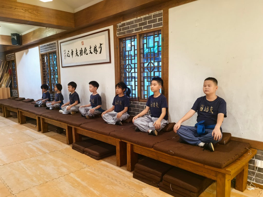 Shaolin Youth Kung Fu Program (10 Sessions) | Discipline, Strength & Focus Training